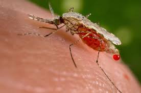 Mosquito Block - controindicazioni - effetti collaterali