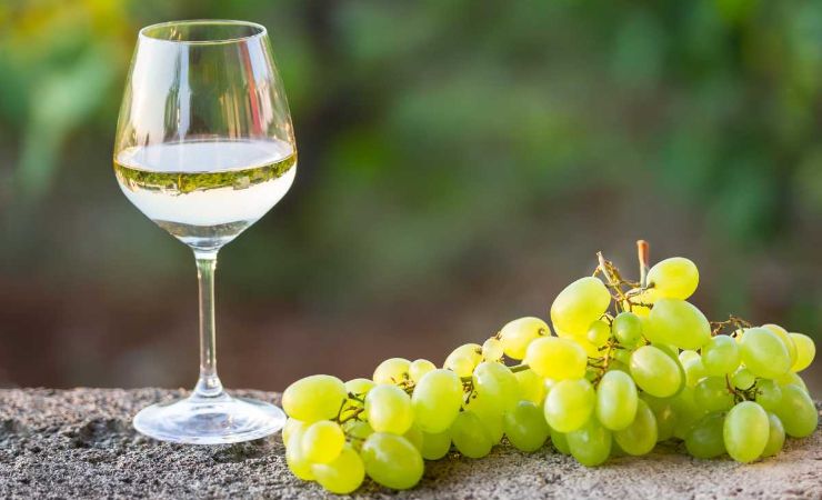 Calice vino, uva