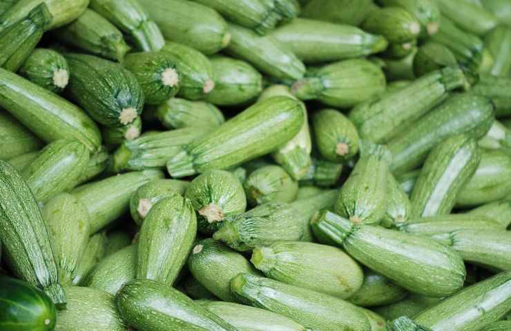 Zucchine